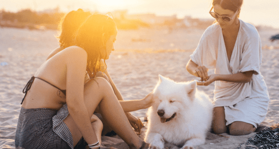 Three women and white dog on the beach during sunset