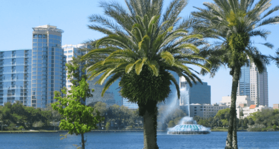 Waterfront South florida city with palm trees in the foreground