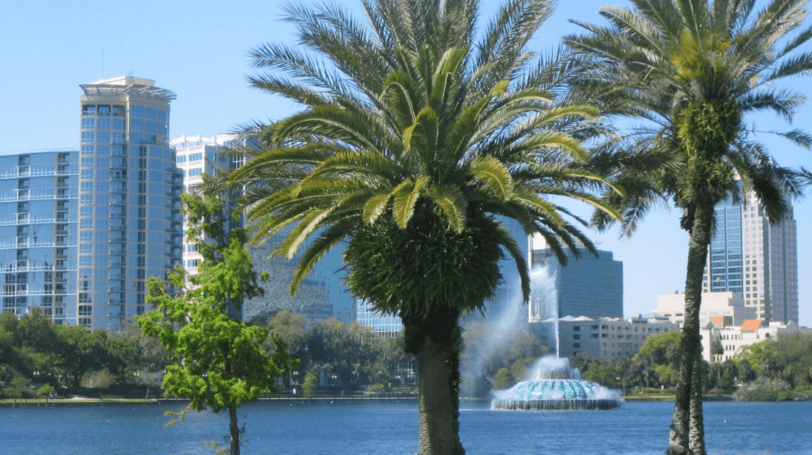Waterfront South Florida City With Palm Trees In The Foreground
