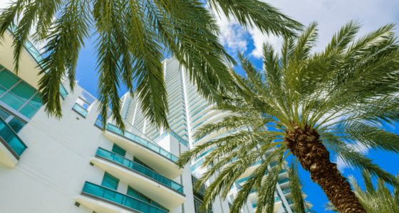 Downtown Miami Cityscape